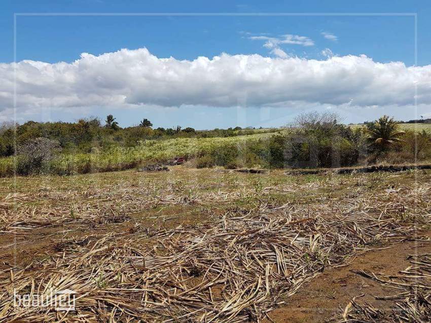 Agricultural land of 1 A 88 Ps,  Réunion Maurel - 3 - Land  on Aster Vender