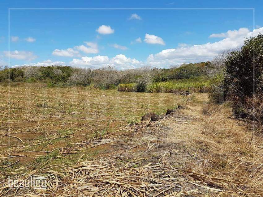 Agricultural land of 1 A 88 Ps,  Réunion Maurel - 2 - Land  on Aster Vender