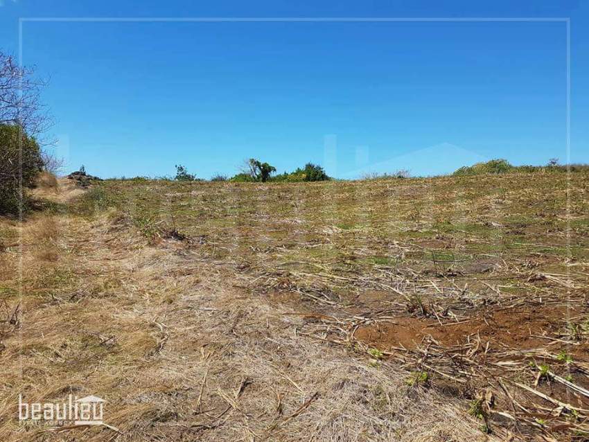 Agricultural land of 1 A 88 Ps,  Réunion Maurel - 4 - Land  on Aster Vender