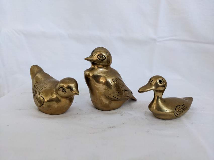 3 oiseaux et canard - 3 birds and duck