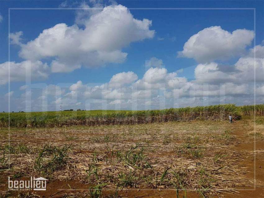 *** 75 perches Agricultural Land, L'Amitié*** - 1 - Land  on Aster Vender
