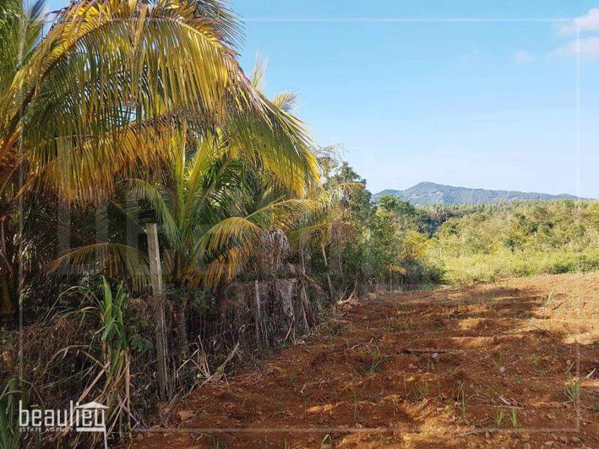 *** 1 Arpent 1 perche Agricultural Land in New Grove, Deux Bras *** - 1 - Land  on Aster Vender