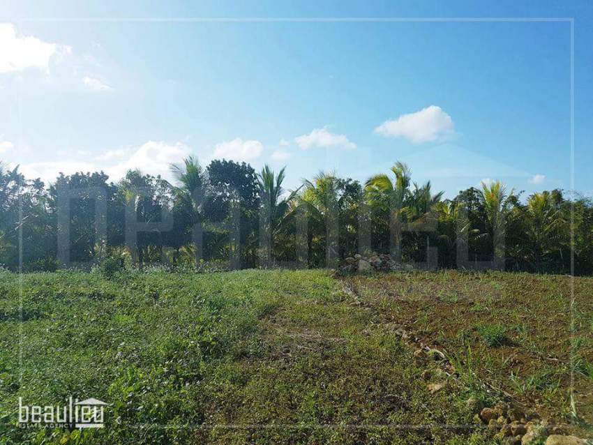*** 1 Arpent 1 perche Agricultural Land in New Grove, Deux Bras *** - 2 - Land  on Aster Vender