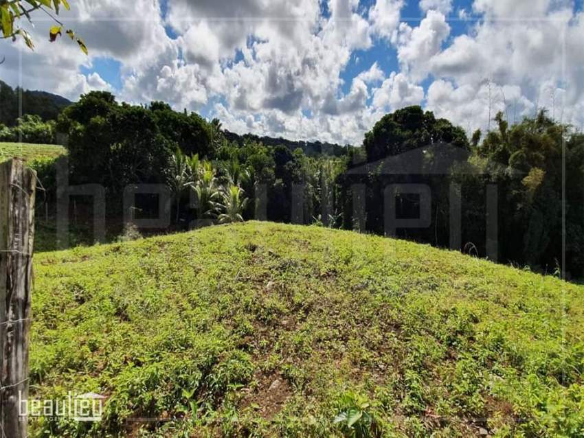*** 1 Arpent 1 perche Agricultural Land in New Grove, Deux Bras *** - 6 - Land  on Aster Vender