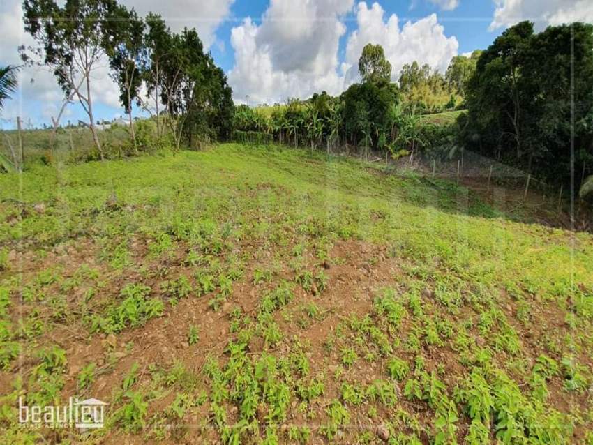 *** 1 Arpent 1 perche Agricultural Land in New Grove, Deux Bras *** - 4 - Land  on Aster Vender