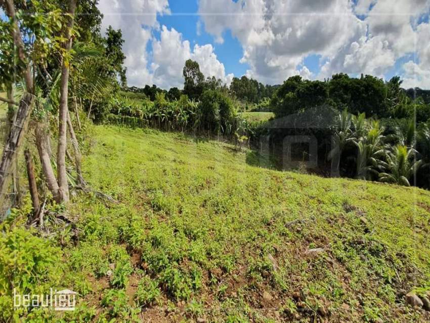 *** 1 Arpent 1 perche Agricultural Land in New Grove, Deux Bras *** - 5 - Land  on Aster Vender