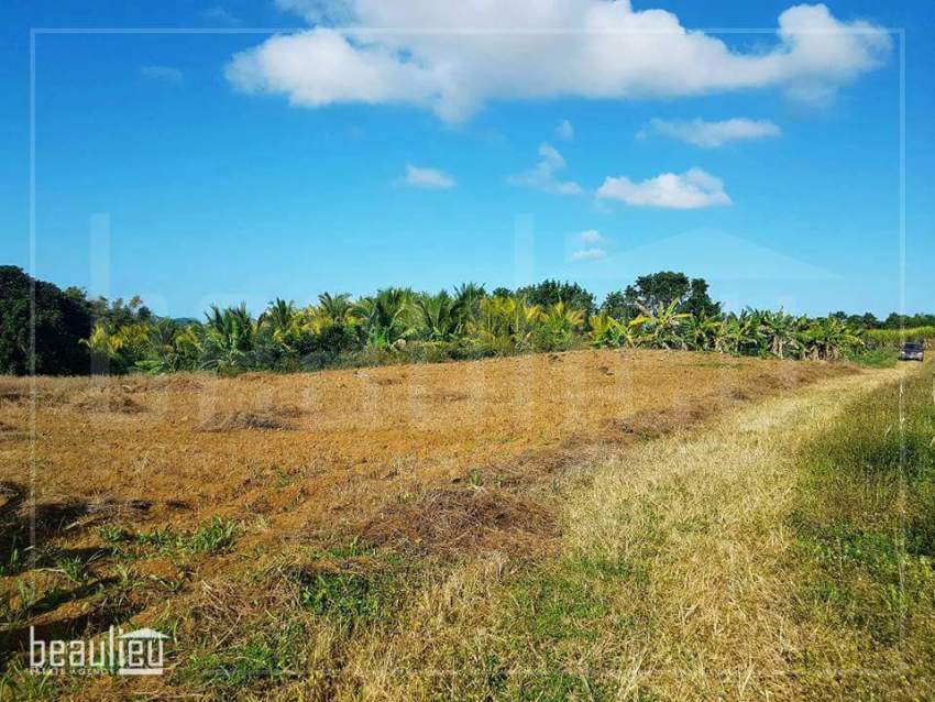 *** 1 Arpent 1 perche Agricultural Land in New Grove, Deux Bras *** - 3 - Land  on Aster Vender