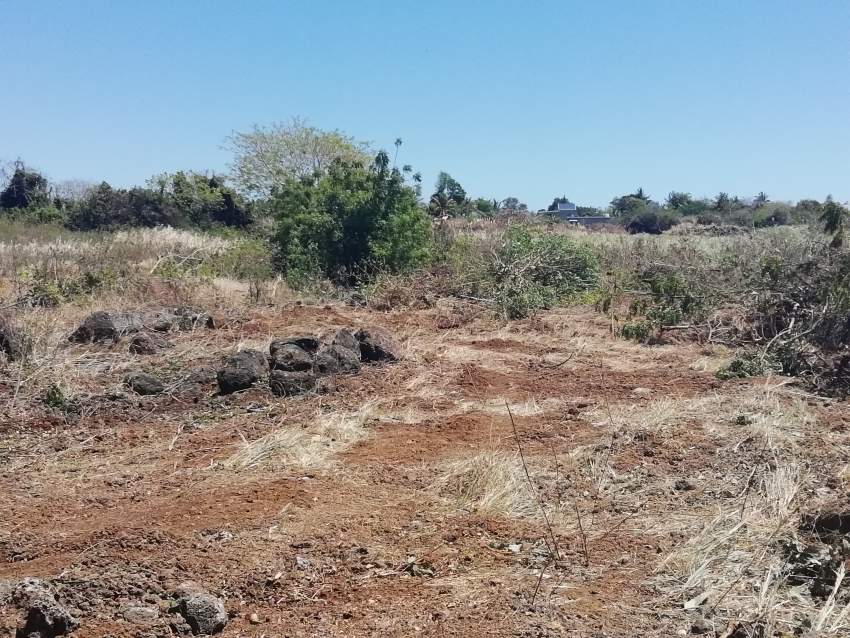 1 A 24 p residential land in Melville, 20 p can be sold @ 1.5M - 3 - Land  on Aster Vender