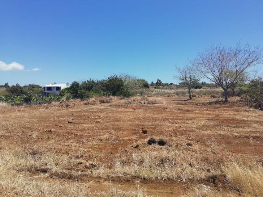1 A 24 p residential land in Melville, 20 p can be sold @ 1.5M - 1 - Land  on Aster Vender