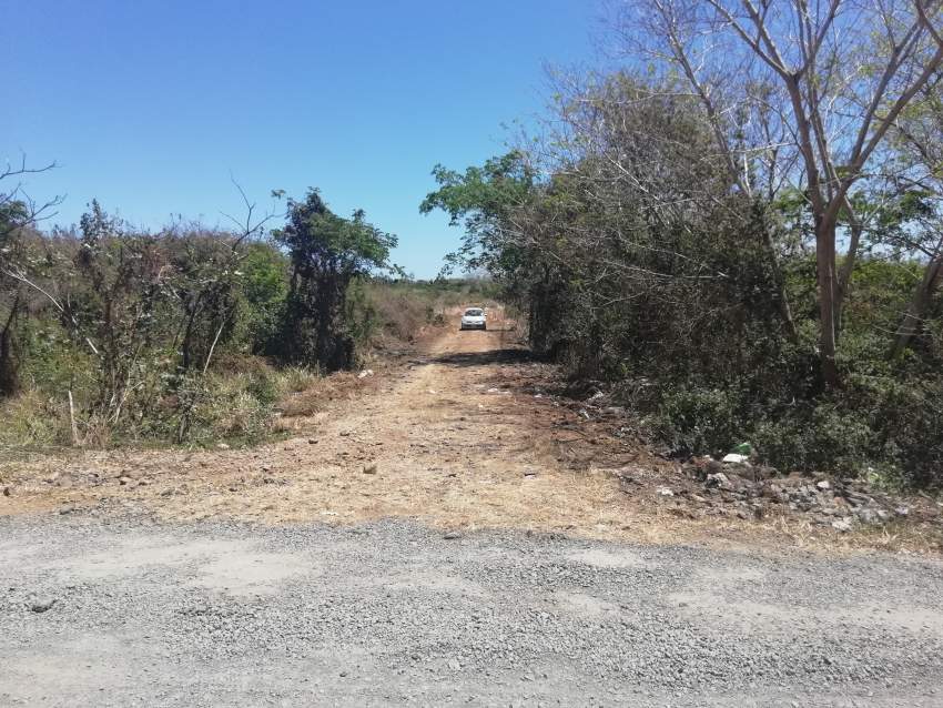 1 A 24 p residential land in Melville, 20 p can be sold @ 1.5M - 2 - Land  on Aster Vender