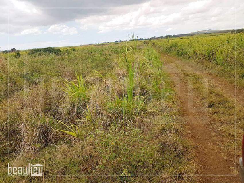 **Agricultural land of 1 Arpent 33 perches, Morcellement St. André **  - 1 - Land  on Aster Vender