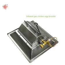 poultry house equipment intallation  - 2 - Other services  on Aster Vender