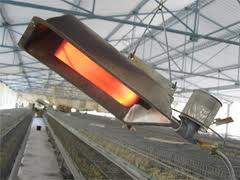 poultry house equipment intallation  - 0 - Other services  on Aster Vender