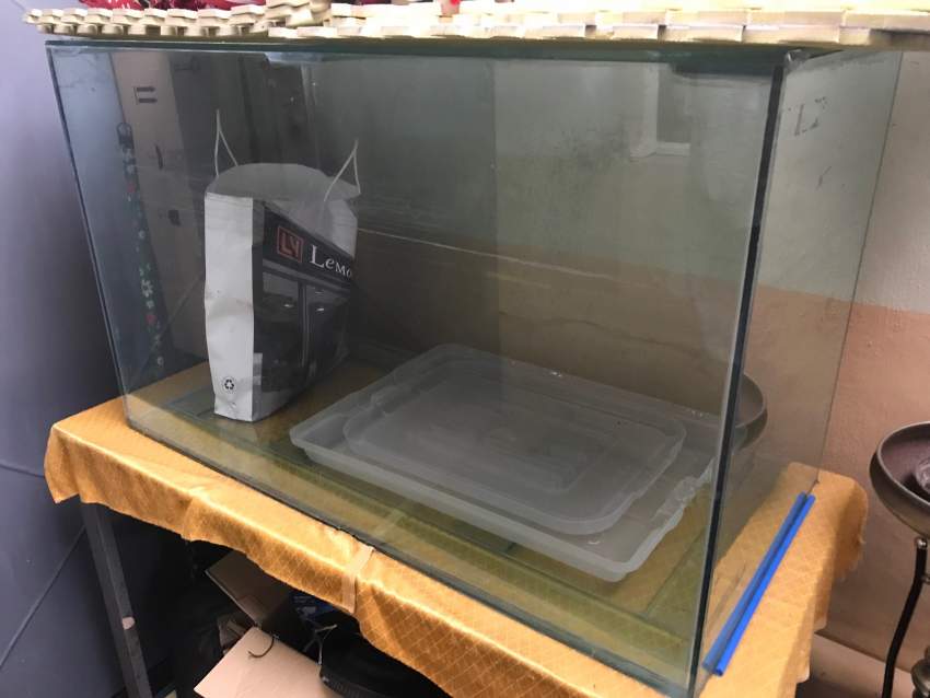 For sale Aquarium 3x2.5x3 pieds - 0 -  Aquarium fish  on Aster Vender