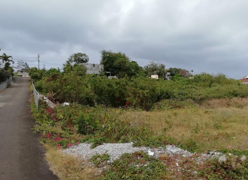 #SOLD - 2 - Land  on Aster Vender