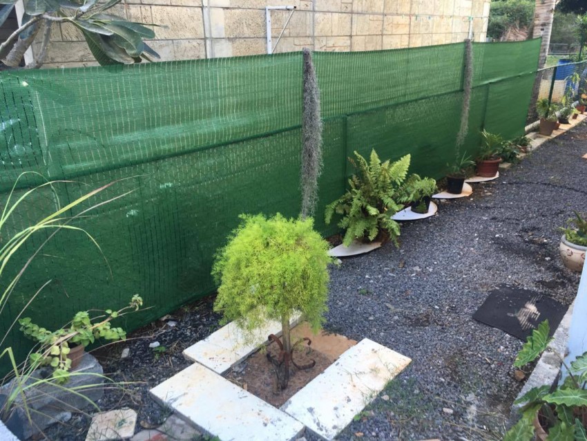 Duplex | Maison à Vendre - 9 - House  on Aster Vender