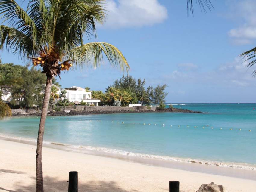 8.47 p in a Morc @ Pereybere Rs 2.2M negotiable.  - 3 - Land  on Aster Vender