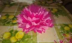 Déco pompom  - 10 - Other services  on Aster Vender