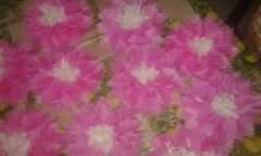 Déco pompom  - 7 - Other services  on Aster Vender