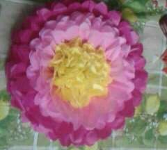 Déco pompom  - 6 - Other services  on Aster Vender