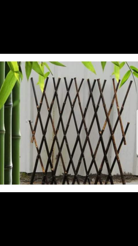 Bamboo extensible and flambeau - 0 - Events  on Aster Vender