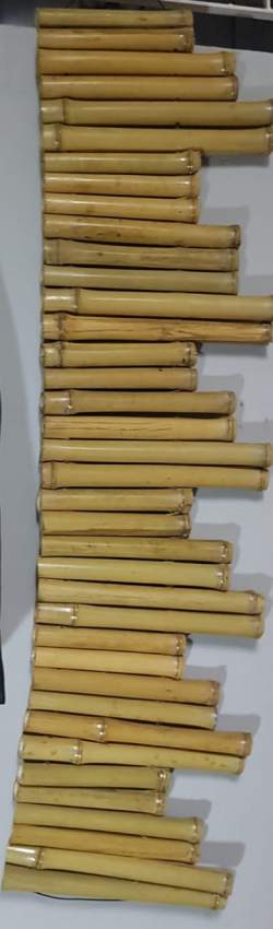 Bamboo extensible and flambeau - 6 - Events  on Aster Vender