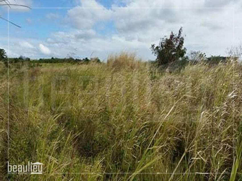 Agricultural land, 1 A 45 Perches, Ile d'Ambre on Aster Vender