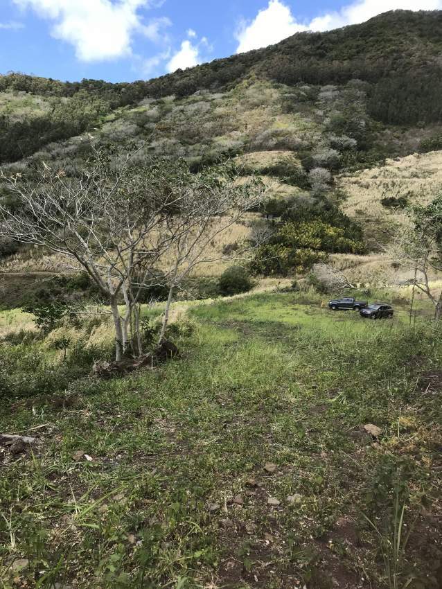 4 Soeurs: superb and untouched - price reduced to Rs 790,000 / Arpent - 4 - Land  on Aster Vender