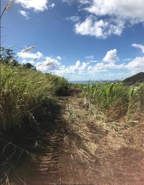 4 Soeurs: superb and untouched - price reduced to Rs 790,000 / Arpent - 2 - Land  on Aster Vender