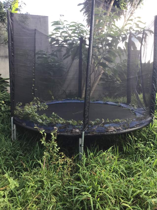 Trampoline  - 0 - Others  on Aster Vender