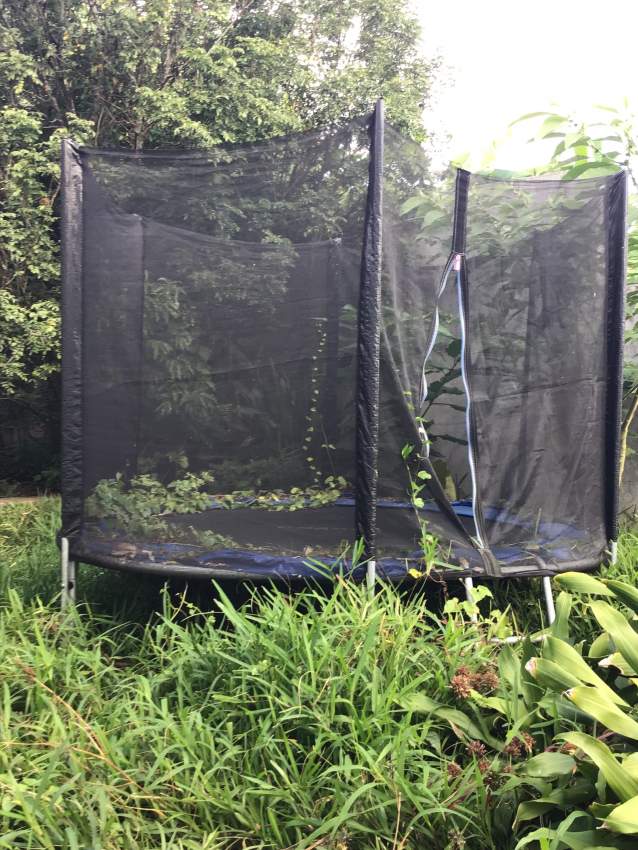 Trampoline  - 1 - Others  on Aster Vender