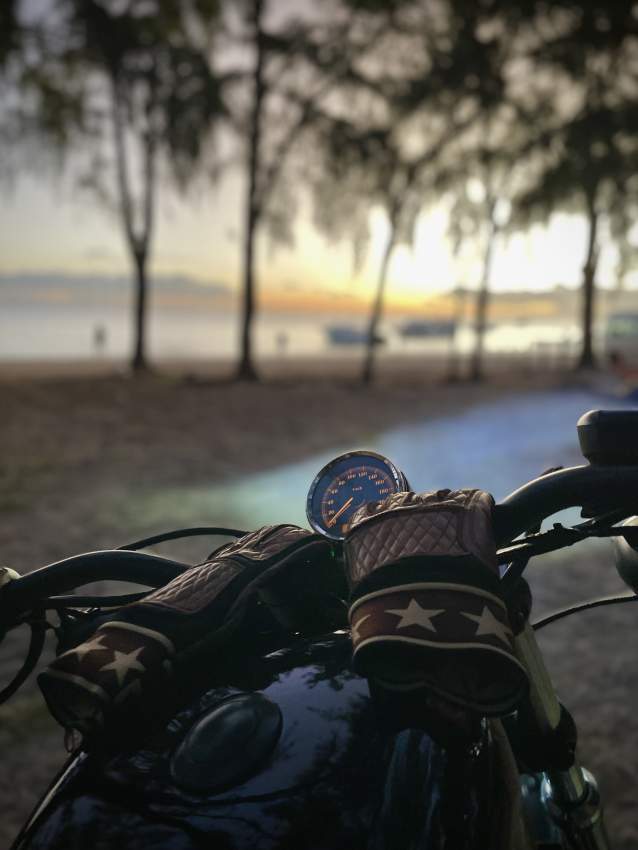 HD Sporster 1200 Custom - 3 - Cruisers & Choppers  on Aster Vender