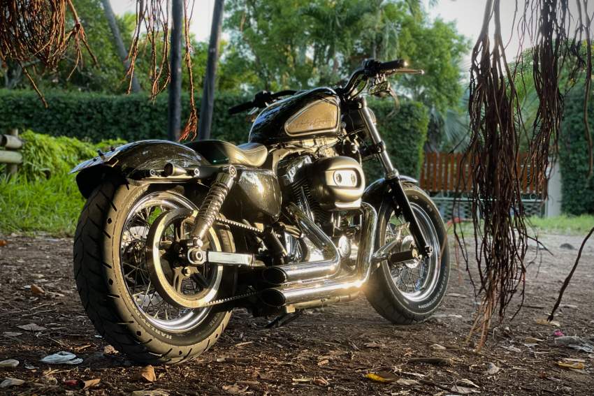 HD Sporster 1200 Custom - 0 - Cruisers & Choppers  on Aster Vender
