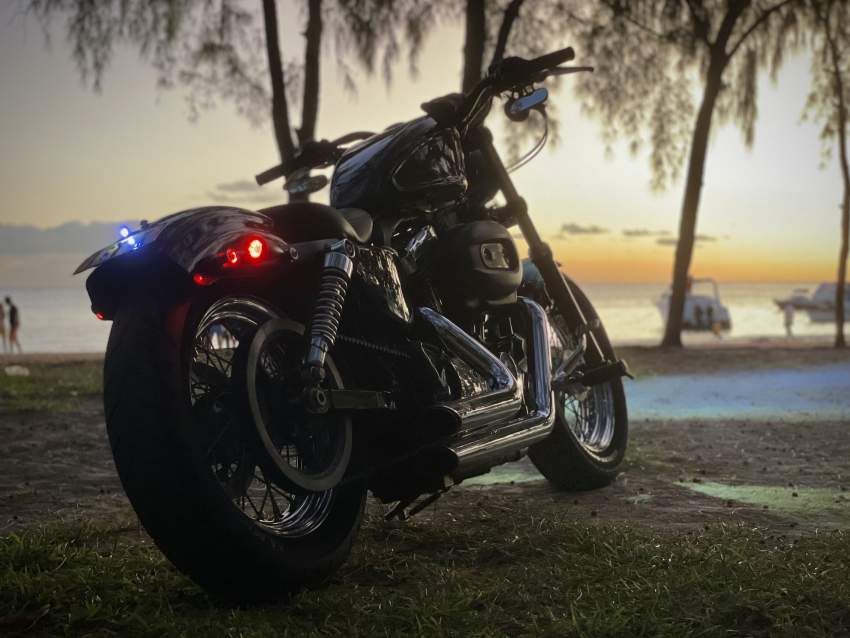 HD Sporster 1200 Custom - 4 - Cruisers & Choppers  on Aster Vender