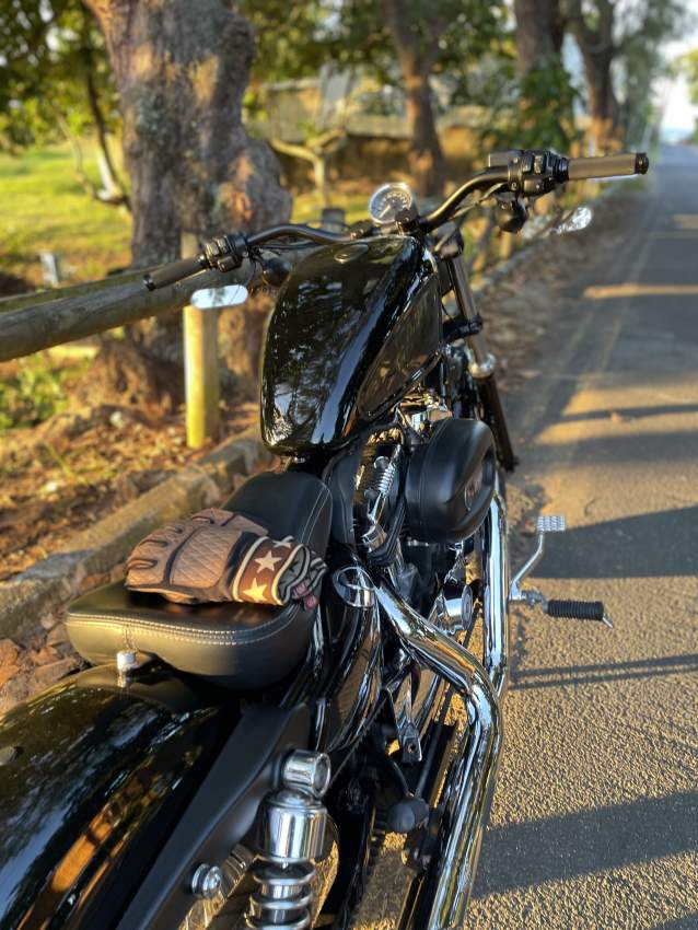 HD Sporster 1200 Custom - 2 - Cruisers & Choppers  on Aster Vender