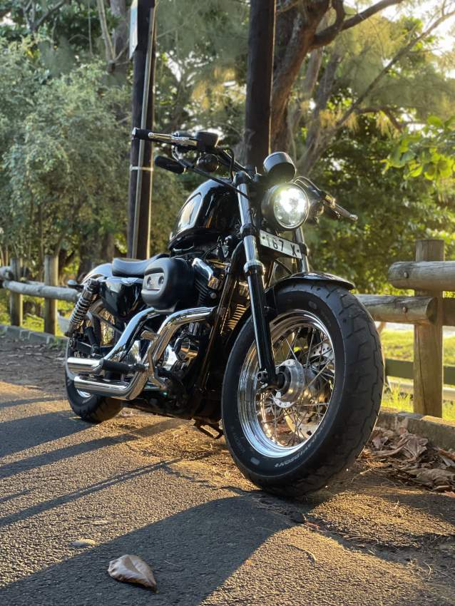 HD Sporster 1200 Custom - 1 - Cruisers & Choppers  on Aster Vender