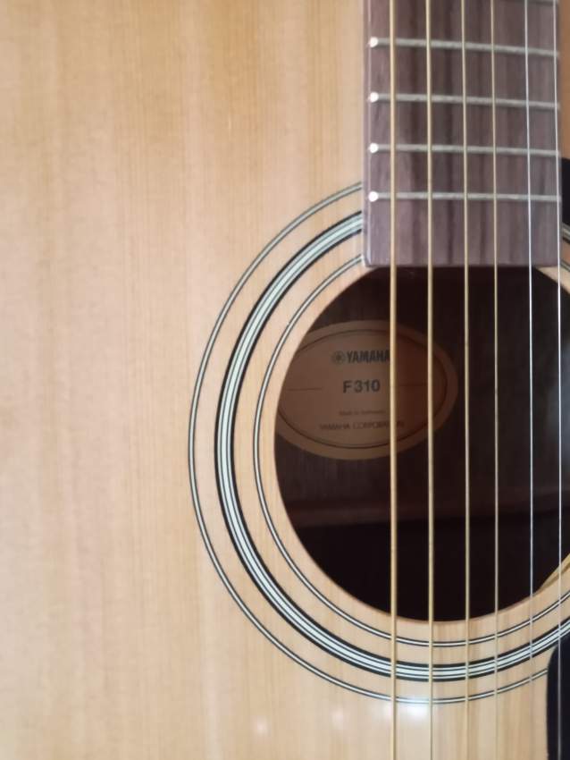 Acoustic guitar  - 2 - Accoustic guitar  on Aster Vender