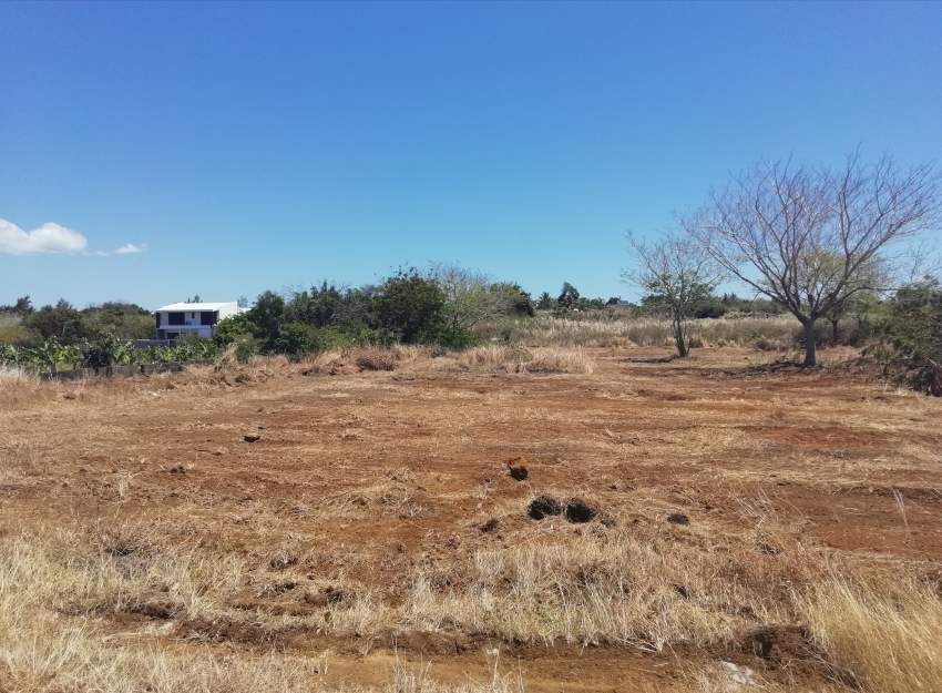 Ready to built clear & flat plot of land in Melville @ 75,000/perche  - 1 - Land  on Aster Vender