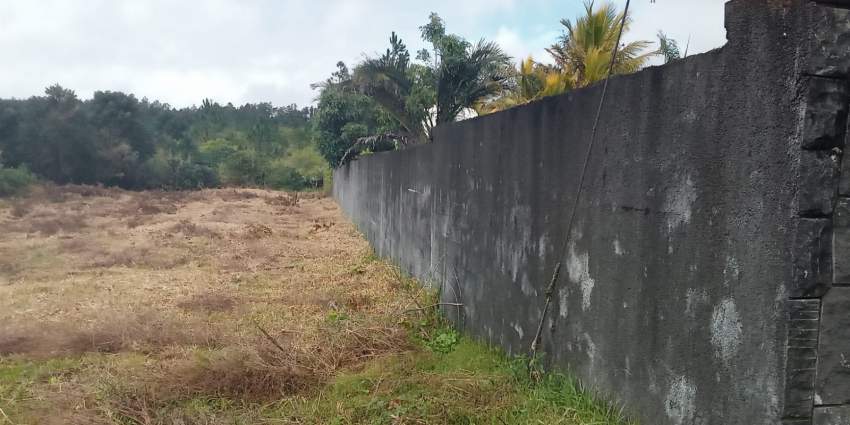 Land for Sale - Curepipe - Wooton - 3 - Land  on Aster Vender
