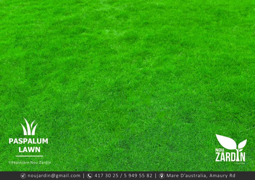 Passpalum Lawn Promo sale - Call on 5 949 55 82 at AsterVender