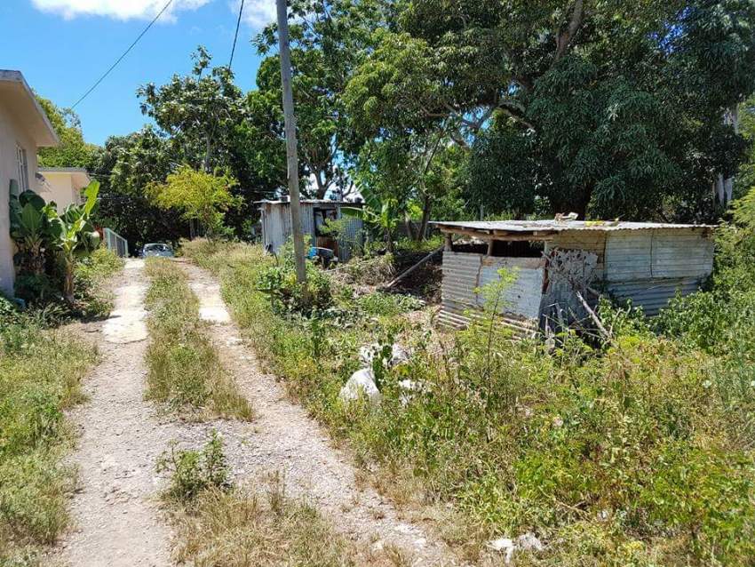 4 residential lots for sale in Nehru Nagar,Flacq - 0 - Land  on Aster Vender