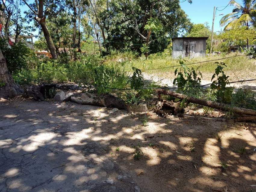 4 residential lots for sale in Nehru Nagar,Flacq - 6 - Land  on Aster Vender