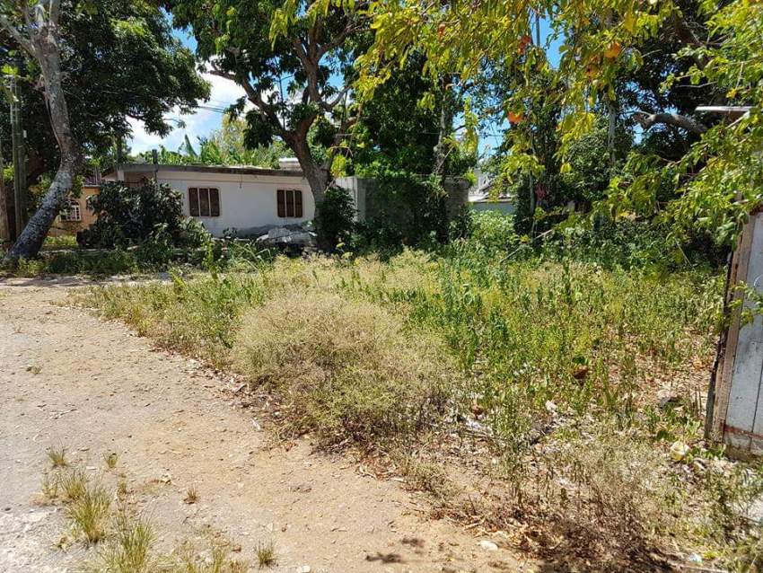 4 residential lots for sale in Nehru Nagar,Flacq - 4 - Land  on Aster Vender