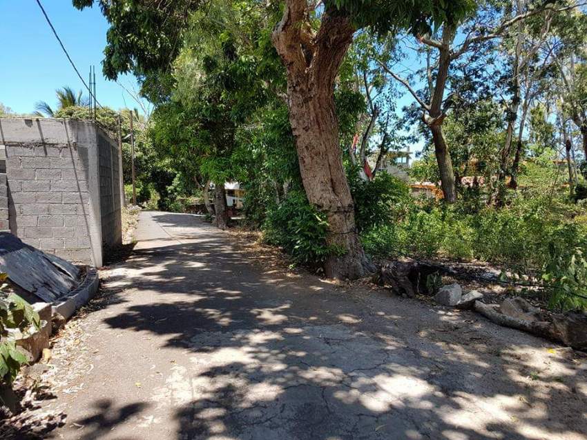 4 residential lots for sale in Nehru Nagar,Flacq - 7 - Land  on Aster Vender