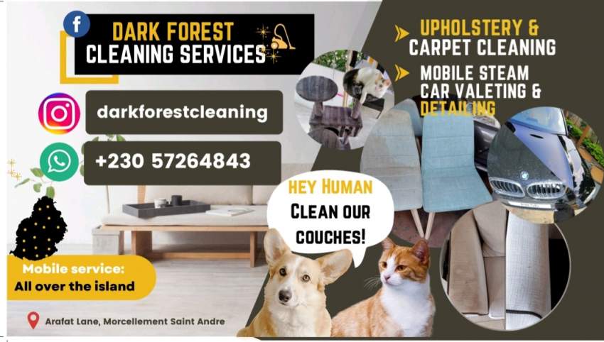 Dark Forest Cleaning Services  - 0 - Cleaning services  on Aster Vender