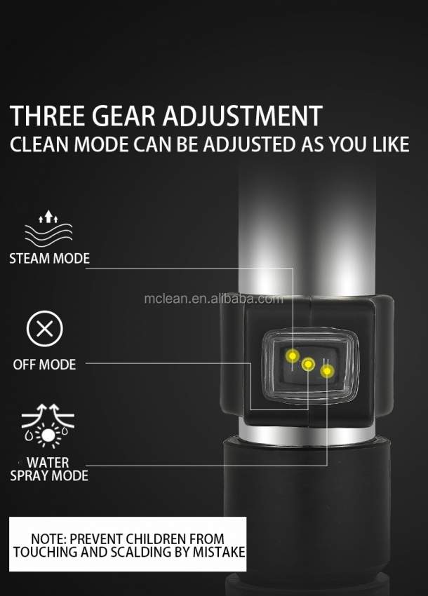 CP-9S Steam Extractor  - 5 - Cleaning services  on Aster Vender