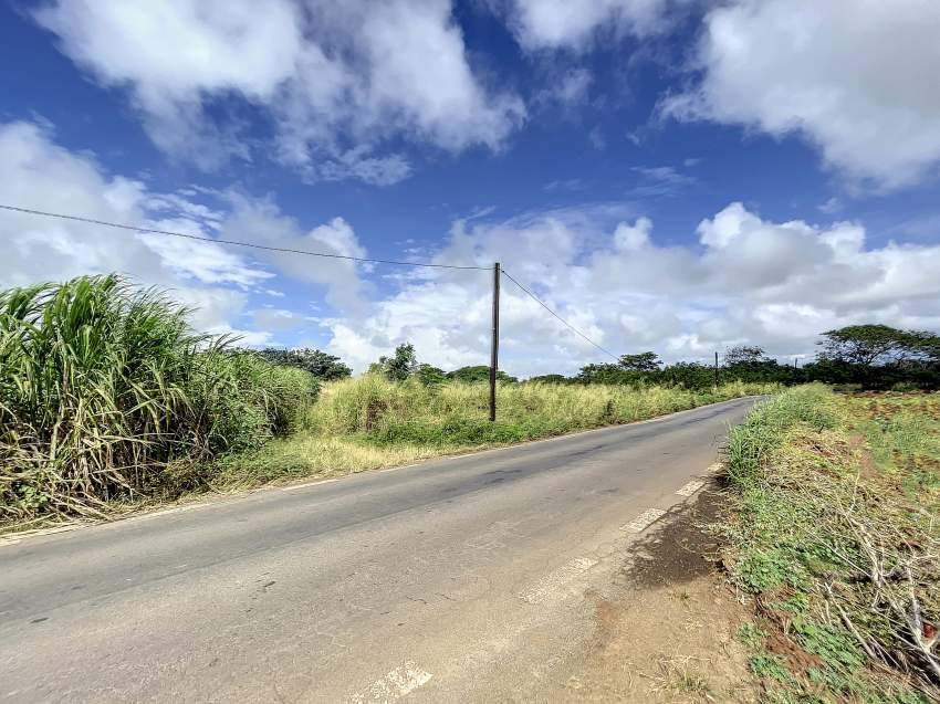 (Ref. MA7-668) Grand terrain agricole idéal pour un projet d'éco  - 0 - Land  on Aster Vender