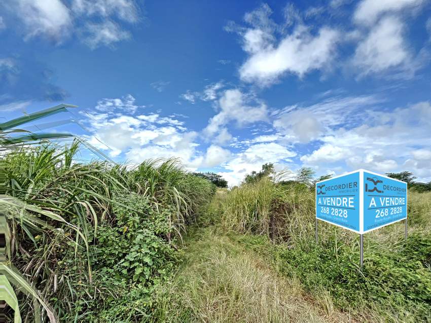 (Ref. MA7-668) Grand terrain agricole idéal pour un projet d'éco  - 2 - Land  on Aster Vender