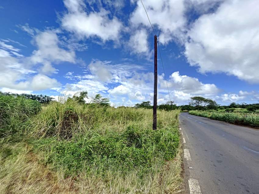 (Ref. MA7-668) Grand terrain agricole idéal pour un projet d'éco  - 1 - Land  on Aster Vender