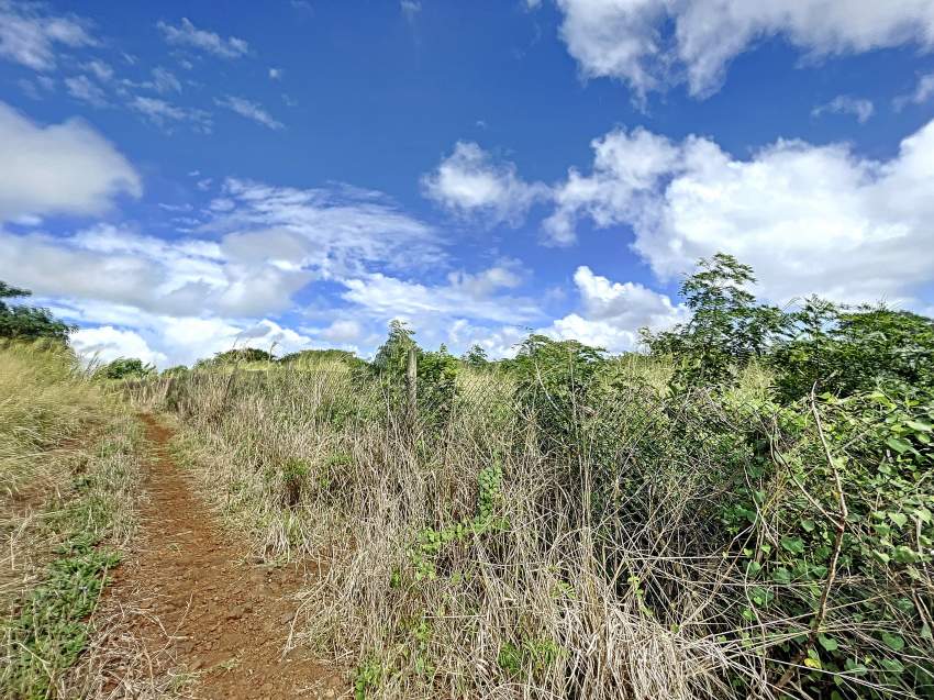 (Ref. MA7-668) Grand terrain agricole idéal pour un projet d'éco  - 3 - Land  on Aster Vender